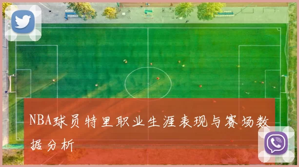 NBA球员特里职业生涯表现与赛场数据分析