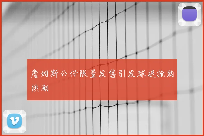 詹姆斯公仔限量发售引发球迷抢购热潮
